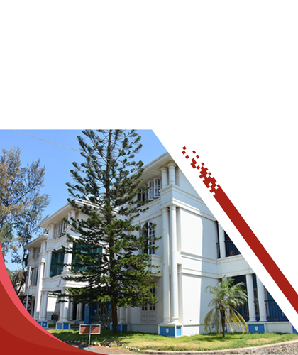 Mobile CBSE Banner - Curriculum - TRIS